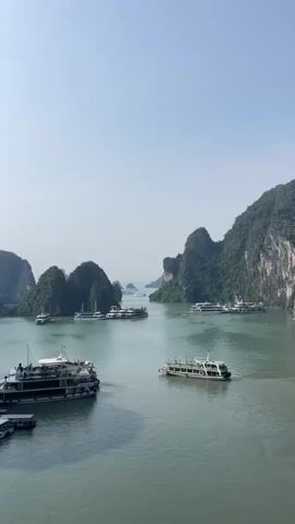 The video pans across a wide body of water with many boats. The water is a murky green. There are many karst formations rising out of the water, some are covered in greenery. The sky is clear and blue. In the foreground, there are several large passenger boats docked on the left side of the frame. One large passenger boat is in motion on the left side of the frame. In the middle of the frame, a long, narrow passenger boat is moving across the water. In the distance, more passenger boats are visible, some docked and some in motion. The boats appear to be on a tour. The overall scene is a scenic view of a bay with boats and karst formations.