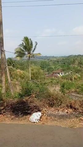 The video shows an outdoor scene from an elevated perspective looking down into a valley. The foreground consists of dry brush and foliage, with some scattered debris including a white plastic bag. A paved road is visible at the bottom of the frame. Beyond the foreground, the landscape transitions to lush green vegetation, including palm trees and other tropical plants. Several houses with red tile roofs are scattered throughout the valley. In the middle ground, there appears to be a fenced area, possibly a yard or garden, with some structures and a fence. The background shows rolling hills covered in dense trees, extending towards the horizon under a bright, hazy sky with a few clouds. Electrical wires are visible in the upper portion of the frame. The scene appears to be a rural or semi-rural area in a tropical or subtropical climate.