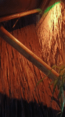 Evening gathering at a rustic bamboo café in Depok