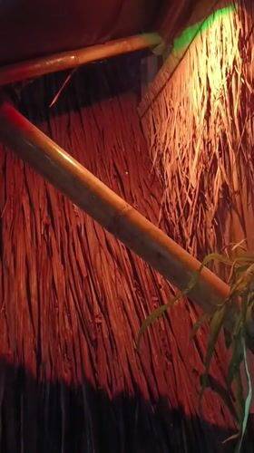 Evening gathering at a rustic bamboo café in Depok