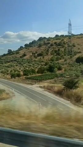 The video shows a view from a vehicle traveling along a road. The landscape consists of rolling hills covered in olive trees and other vegetation. There are scattered houses and buildings visible, as well as a power line tower. The sky is blue with some white clouds. The road appears to be paved and has lane markings. The overall impression is of a rural, Mediterranean landscape on a sunny day.