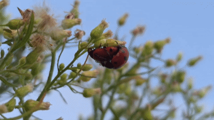 Sunset and small wonders in Chaikovsky, Russia