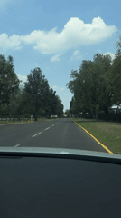 Tree-lined road documented in San Andrés Cholula, Mexico