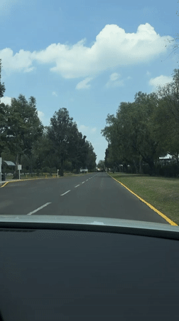Tree-lined road documented in San Andrés Cholula, Mexico