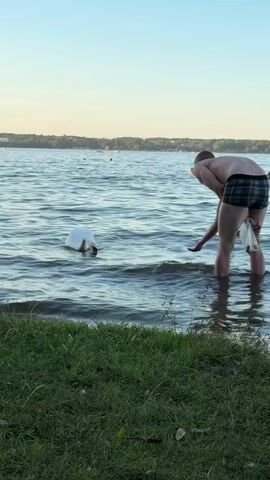 A person in black and white checkered swim trunks stands in shallow water at the edge of a lake, facing away from the camera. The person is holding a clear plastic bag in their left hand and their right hand is extended forward, palm up, towards a swan. The swan is in the water, facing the person and appears to be reaching for something from the person's hand. The swan is white with a red beak. The water is blue and slightly choppy, with ripples. In the background, the lake stretches out towards a tree-lined horizon. The sky is a pale blue with a hint of orange, suggesting it may be sunset. The foreground consists of green grass on the shore.