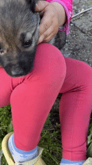 Children and pets observed in residential settings during afternoon