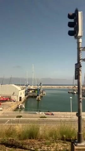 The video shows a marina with numerous sailboats and smaller boats docked. The water is calm and reflects the clear blue sky. There are palm trees and green plants in the foreground, obscuring parts of the view. The camera pans across the marina, revealing a breakwater in the distance. Several vehicles, including a white SUV and a blue car, are visible in the parking area behind the docked boats. The overall scene depicts a sunny day at a well-maintained harbor.