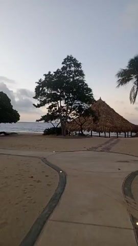 The video shows a tropical beach scene at dusk. There is a thatched-roof hut with a path of stepping stones leading to it. Several palm trees are visible, as well as a large tree with spreading branches. The ocean is in the background, and the sky is overcast. The camera is moving, creating a slight blur in the footage. The path in the foreground has embedded lights.