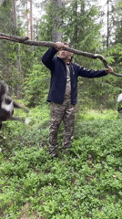 Forest camping group with dogs observed in Roshchino, Russia