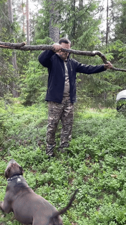 Forest camping group with dogs observed in Roshchino, Russia