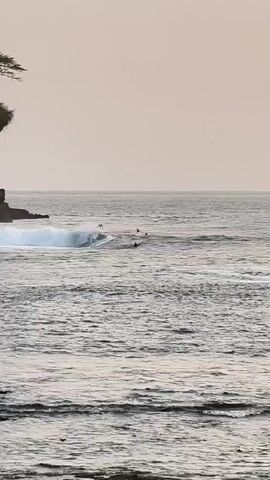 The video shows a coastal scene with a cliff on the left and the ocean in the foreground and background. Several surfers are visible in the water, with one surfer actively riding a wave. The sky is overcast with a pale, muted color. The water is choppy and appears to be a grayish-blue. There is a small amount of vegetation on top of the cliff. The overall impression is one of a calm, possibly early morning or late afternoon surf session.