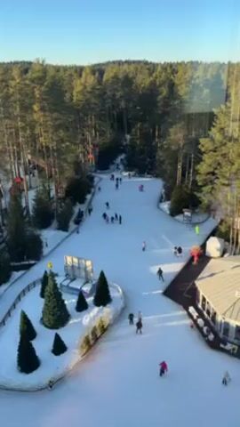 The video shows a panoramic view of a winter recreation area. A snow-covered slope stretches through a forest of evergreen trees, with several people skiing or walking across the white surface. Some individuals are in small groups, while others are alone. Near the bottom of the slope, there's a cluster of Christmas trees and a sign structure. A building with a light-colored roof sits to the right, with people visible around it. The sky is a clear, bright blue, indicating sunny weather. The overall scene suggests a recreational winter setting.