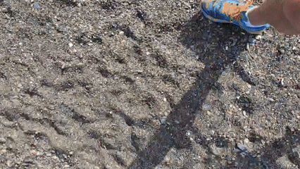 Person takes sunny beach walk in Chabkwara, Abkhazia