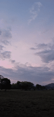 Dusk landscape captured in rural Venezuela showing colorful twilight sky