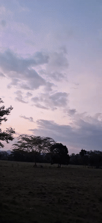 Dusk landscape captured in rural Venezuela showing colorful twilight sky