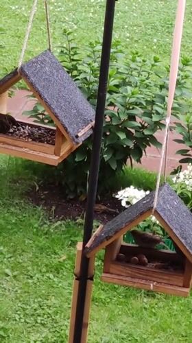 Sparrows flock to backyard feeders in Rosinka, Russia
