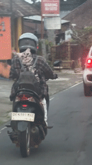 Motorcyclist in plaid shirt observed on Baturiti road
