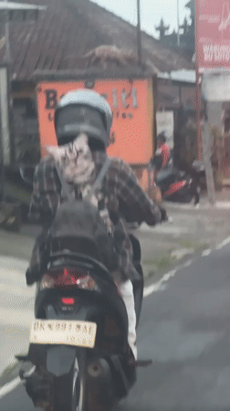 Motorcyclist in plaid shirt observed on Baturiti road