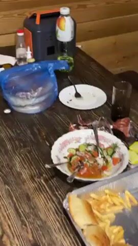 A video shows a dining table covered with the remains of a meal. There are empty plates, a half-empty salad bowl, a container with leftover fries and some type of bread, a few beer bottles, and a water bottle. A hand is seen holding a camera. The camera then pans to the floor, where a dog is lying on a red mat. The dog is mostly white with brown patches. It appears to be asleep. The floor is made of wood.