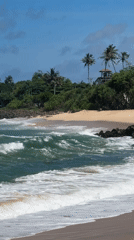 Morning beach scenes captured at Midigama, Sri Lanka coastline