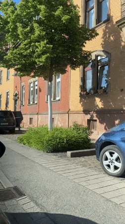 Routine street scenes documented in Landau in der Pfalz