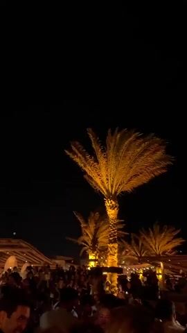 This video captures a nighttime scene at an outdoor gathering, possibly a festival or party, with a crowd of people visible in the foreground. Several palm trees are illuminated from below with warm, golden light, creating a striking contrast against the dark night sky. In some frames, blue lighting is also present, suggesting stage lights or atmospheric effects. The crowd appears to be enjoying themselves, with some individuals raising their hands. The overall atmosphere is festive and energetic.