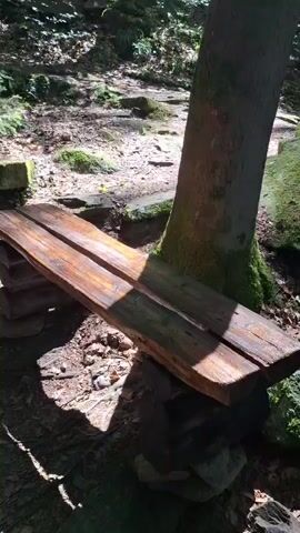 The video shows a wooden bench placed in a forest. The bench is made of two thick, rough-hewn wooden planks supported by stacked stones and logs. A tree trunk is visible behind the bench, with moss growing on it. The ground around the bench is covered with fallen leaves, dirt, and some rocks. Sunlight filters through the trees, casting shadows on the scene. There are stone walls or structures in the background, also covered with moss. The overall environment is natural and appears to be a tranquil outdoor setting.