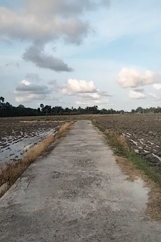 The video shows a paved road running alongside a field, possibly a rice paddy, with standing water reflecting the sky. The sky is partially cloudy with patches of blue. Trees line the horizon in the distance. The camera appears to be moving forward along the road, offering a low-angle perspective. The scene is predominantly rural and natural.