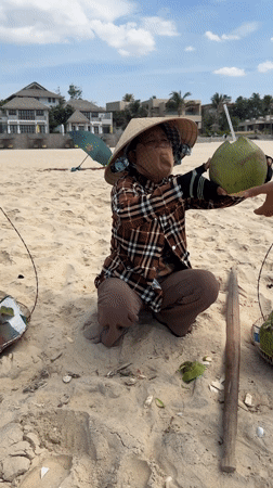 Coconut vendors serve tourists on Vietnamese beach in Phu Thuy Ward