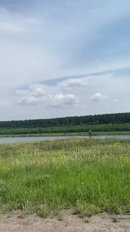 This video captures a wide shot of a rural landscape on a cloudy day. In the foreground, a grassy field with tall, green grass and some yellow wildflowers lines a dirt path. A body of water, likely a river or lake, is visible in the mid-ground, bordered by a dense line of trees on the opposite bank. The sky above is a pale blue with scattered white clouds. The camera appears to be moving, likely from a vehicle, as indicated by the slight blur and the perspective shift. There are no people or animals visible in the frame.