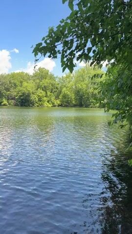 This is a video clip taken from the edge of a lake, on a sunny day. The water is a deep blue with gentle ripples and reflections of the sky and surrounding trees. The shoreline is visible in the foreground, with some dark, wet earth and a few rocks. Beyond the lake, a lush, green forest lines the opposite bank, its foliage dense and vibrant. The sky above is a bright blue with scattered, fluffy white clouds, suggesting pleasant weather. A large tree with green leaves shades part of the frame, its branches extending over the water. The overall scene evokes a sense of tranquility and natural beauty, likely captured in the United States, specifically West Hempfield Township. There is no visible text in the video. The time of day appears to be midday or early afternoon, given the bright sunlight and clear sky.