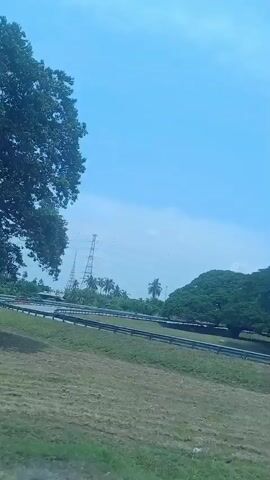 The video shows a view from a moving vehicle on a sunny day. The sky is a clear blue with a few faint white clouds. In the foreground, there is a grassy embankment with some dry patches. A white pole, possibly a lamppost, stands tall on the right side of the frame. In the middle ground, there is a road with guardrails. Beyond the road, a large, mature tree with a wide, dense canopy dominates the landscape. In the background, more trees are visible, along with what appears to be a transmission tower and palm trees. The vehicle is moving forward, causing the scenery to pass by. The camera angle is slightly tilted upwards.