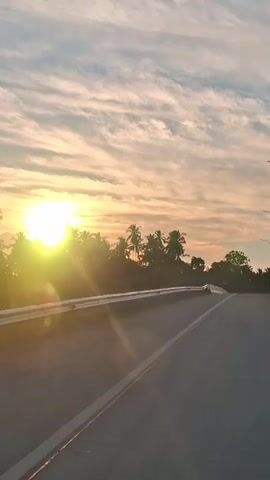 A vertical video captures a sunrise over a highway. The sun, a bright yellow orb, is positioned on the left side of the frame, partially obscured by silhouetted palm trees. The sky is a blend of soft orange, pink, and white clouds, with the sun's rays casting a lens flare across the scene. A paved road stretches into the distance, with a white line marking its center. A metal guardrail runs along the left side of the road. The overall impression is one of a serene and tranquil morning landscape.
