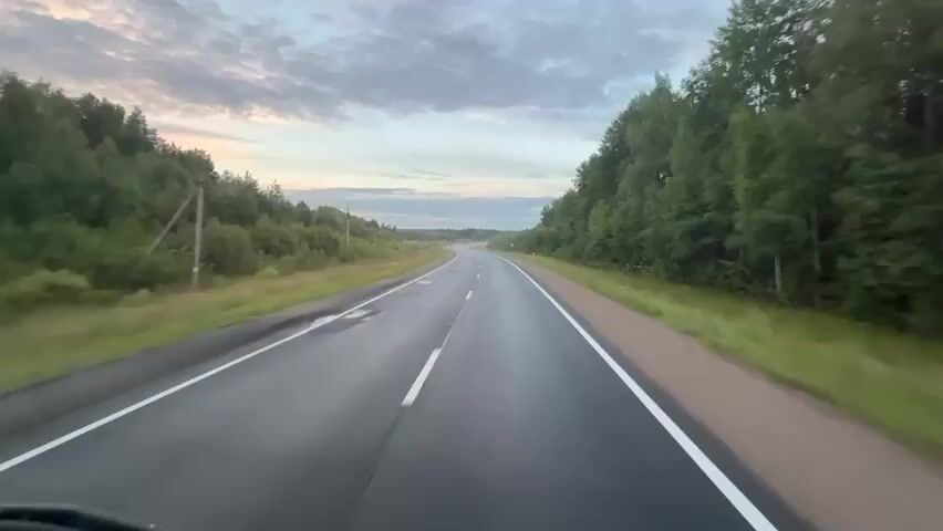 The video is a first-person perspective shot from inside a vehicle traveling on a two-lane asphalt road. The road is wet, indicating recent rain, and is bordered by a grassy shoulder and dense green trees on both sides. The sky above is overcast with clouds, and the lighting suggests it is either early morning or late evening. The road curves gently ahead, disappearing into the distance. There are no other vehicles or people visible in the frame. The overall impression is one of solitary travel through a natural, wooded landscape.