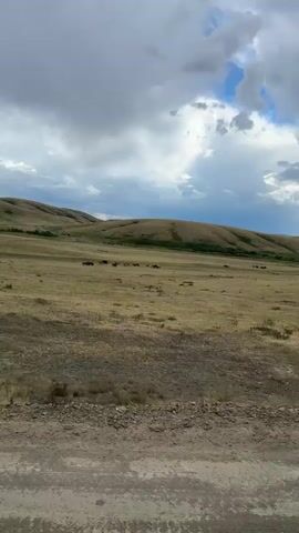 This media file captures a wide, panoramic view of a vast, open grassland under a dramatic sky. The foreground is dominated by a dirt road, suggesting a rural or remote location. Rolling hills, covered in dry, golden grass, stretch into the distance, forming a natural backdrop.

Scattered across the grassland are several dark figures, which appear to be a herd of horses grazing. They are small in the frame, emphasizing the expansive nature of the landscape. The sky is a mixture of dark, heavy clouds and patches of bright blue, with rays of sunlight breaking through in places, indicating an unpredictable or changing weather pattern. The overall mood is one of natural beauty and solitude, with the vastness of the land and the dramatic sky creating a sense of awe. The time of day appears to be late afternoon or early evening, given the light conditions. The location is identified as Bakty, Kazakhstan. There is no visible text in the media file.