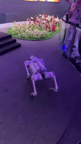 The video shows a white robotic dog walking across a purple floor. A display with a floral arrangement and digital screen is in the background. Text on the wall reads "FREELY... ROBOTIC DOG." People are observing the robot in the background, some taking pictures with their phones. The robotic dog walks near a green outlined square and a set of black stairs. The area is lit with bright, artificial light.