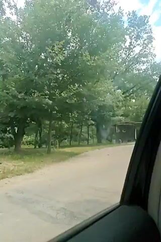 The video shows a view from a vehicle moving along a road. On the right side of the frame, there is a dense forest with many trees. A dark, rectangular structure, possibly a small building or shelter, is visible amongst the trees. The sky is partly cloudy. The video appears to be filmed during the daytime.