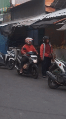 Everyday street life in Kertosono, cats and all