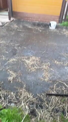 The video shows an outdoor scene, likely during a rain shower. The ground is wet and appears to have some straw or dry grass scattered on it. In the background, there is a small, orange-colored building with a brown trim. The building has a window with white curtains and flower boxes containing pink and white flowers. To the right of the building, there is a wooden fence with some items hanging on it, including what appears to be yellow fabric and pink boots. Beyond the fence, there is greenery, suggesting trees or bushes. The sky is overcast and grayish, indicating cloudy weather, possibly rain or a storm. There are also small droplets visible in the air, suggesting precipitation. The camera is positioned at a slight angle, giving a somewhat distorted view of the scene. There are no people visible in the video.