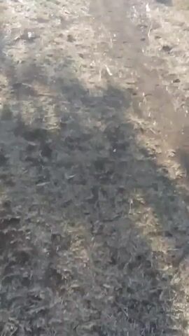 The video depicts a person walking along a dirt path, pushing a bicycle with a rack on the back. The ground is a mix of dirt and dry grass. The person is wearing dark pants and sneakers. The bicycle is dark and appears to be somewhat old. The light suggests it is a sunny day.