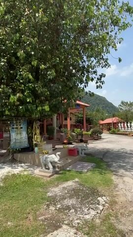 The video pans across a temple complex situated at the base of a large rock face. In the foreground, there is a grassy area with a paved path. To the left, a large tree with dense green foliage stands, with a sign hanging from its trunk. Underneath the tree, there are several small elephant statues and a Buddha statue. To the right, a small pavilion with a red tiled roof houses a golden Buddha statue. The rock face behind the pavilion has large red Chinese characters inscribed on it. Further to the left, a building with a red facade and orange tiled roof is visible, with steps leading up to its entrance. Several golden statues of figures stand in front of this building. The overall environment suggests a religious site, likely a Buddhist temple, in a tropical or subtropical setting, with lush vegetation and a prominent rock formation. The sky is overcast, with visible clouds. The video is shot from a slightly low angle, looking up towards the temple and the rock face.