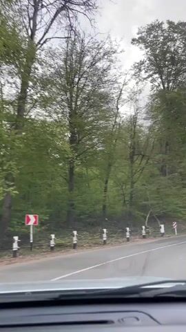 The video is taken from inside a car driving on a winding, asphalt road through a dense, green forest under a cloudy sky. The road has a white center line and guardrails with black and white posts along the side. Red and white directional signs indicate the curves in the road.  The trees are full with new spring foliage.