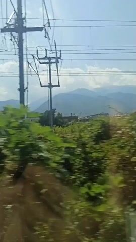 This video captures a blurred, side-view perspective, likely from a moving vehicle. The foreground is dominated by streaks of green foliage, suggesting trees and bushes rushing past. In the background, a hazy landscape of mountains and sky is visible, with power lines strung across the frame. The motion blur indicates a fast-moving viewpoint, and the overall impression is one of travel through a natural, possibly rural, environment. There are no discernible people or specific objects that can be clearly identified due to the blur and speed.