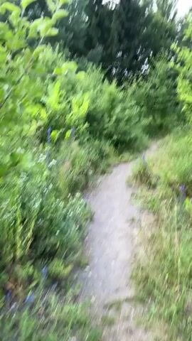 The video shows a blurred, first-person perspective of someone walking on a dirt path. The path is surrounded by lush green foliage and trees. There are some purple flowers visible along the side of the path. The lighting suggests it is daytime, possibly overcast. The motion blur indicates movement, likely walking at a moderate pace. No people or animals are clearly visible, and the focus is on the natural environment.