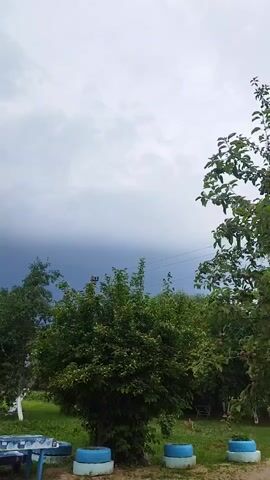 A video clip shows a grey sky with dark storm clouds rolling in. In the foreground, a table and chairs are visible, as are several trees and bushes. Some of the trees are in bloom, and one has red fruit on it. The overall impression is one of impending rain.