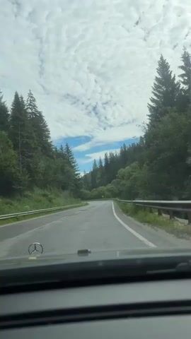 The video shows a view from inside a car driving on a paved road through a forest. The road curves to the left, and on either side, there are numerous tall evergreen trees and other lush green foliage. The sky is partly cloudy, with fluffy white clouds against a bright blue sky. In the foreground, the dashboard of the car is visible, with a Mercedes-Benz logo on the hood. There are guardrails along the sides of the road. A yellow road sign is visible in the distance on the right side of the road. The overall impression is a scenic drive through a natural landscape on a clear day.