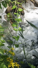 Spring nature documented around Rostov-on-Don waterways and landscapes