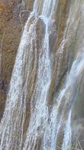 The video shows a waterfall cascading down a rocky cliff face. The water is clear and flows in multiple streams, creating a shimmering effect. The rock face is primarily brown and grey, with some areas covered in moss or lichen. A small tree branch with budding leaves is visible in the lower right corner of the frame. The light is bright, suggesting a sunny day. The camera moves slightly, providing a wider view of the waterfall.