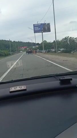 A video captured from inside a vehicle shows a herd of cows standing on a paved road. The cows are of varying colors, including black and brown. To the right of the road, there are trees, a billboard advertising tires, a lamppost, and several parked vehicles. A few buildings are visible in the distance. The sky is overcast. The dashboard of the vehicle is visible in the foreground, with a small helicopter ornament.