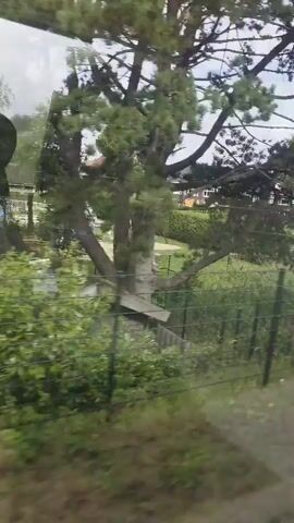 This is a POV shot from a moving vehicle, likely a train, looking out a window. The foreground is dominated by blurred greenery, suggesting foliage and possibly bushes. Behind the greenery, we see glimpses of houses with orange tiled roofs, some with solar panels. There are also trees and what appear to be fences. The sky is overcast or hazy. The overall impression is of a rural or suburban landscape passing by.